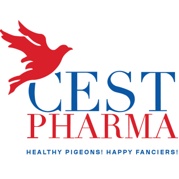 .Tygodniowy plan lotowy dla gołębi dorosłych firmy Cest Pharma
